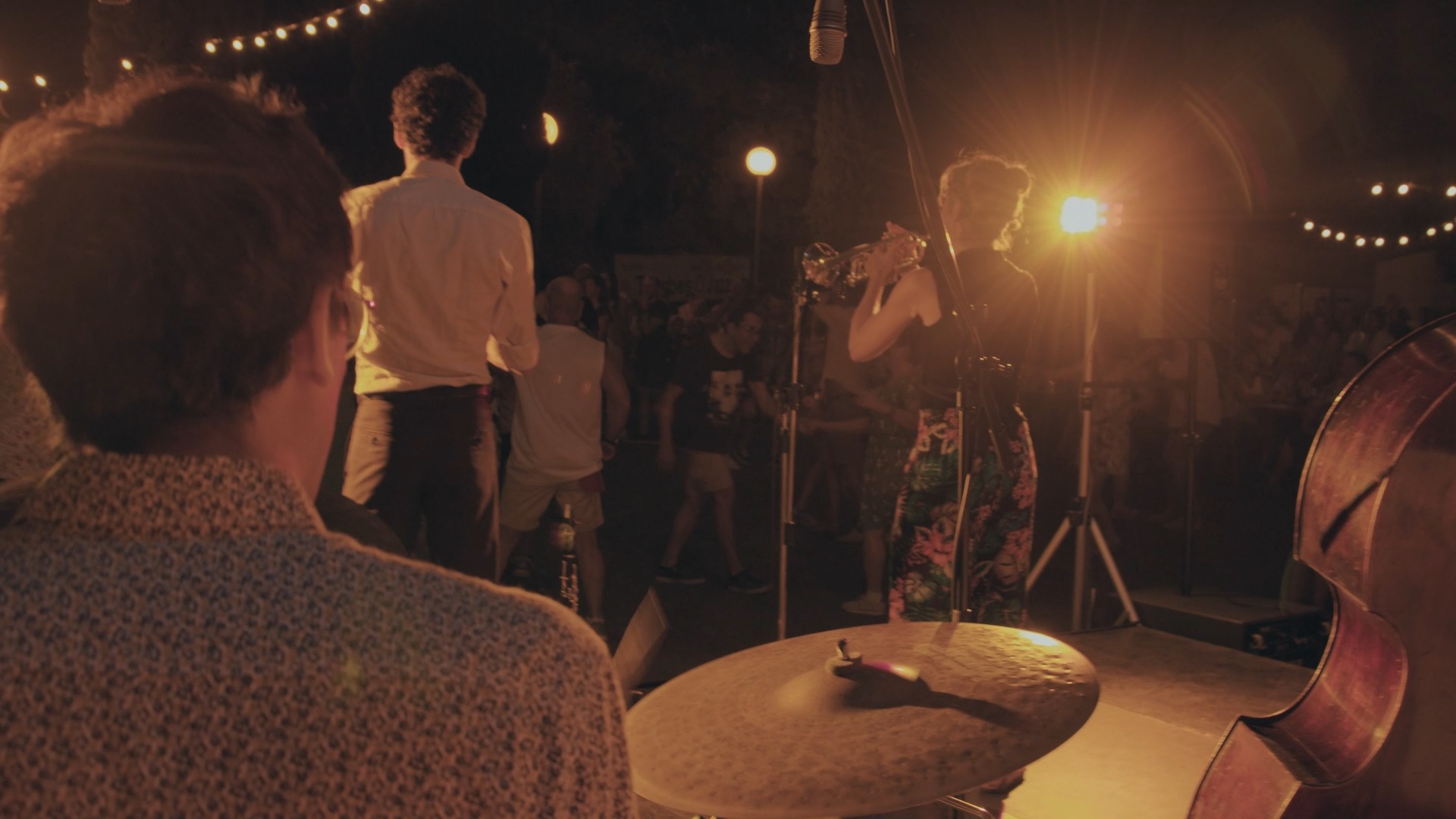 Dixieland Orchestra - pic 4